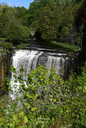 Webster's Falls